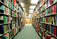 Library bookshelf